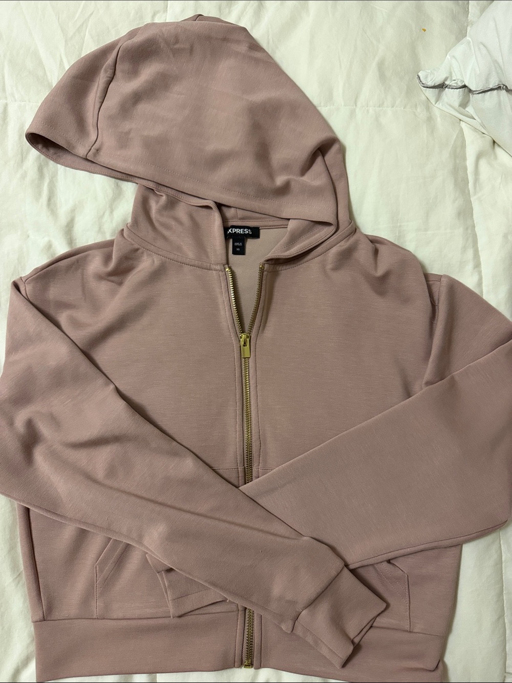 Express Dusty Rose Zip Hoodie with Gold Zipper